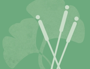 acupuncture icon