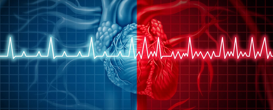 illustration of electrical signals in the heart